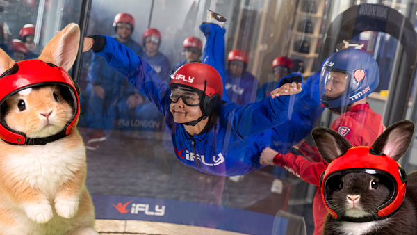 Groups & Parties 2 Flights For Groups – Discovery Easter